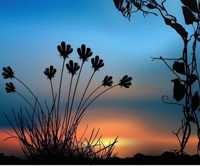 5 cách thay đổi bản thân khôn ngoan nhất - 1