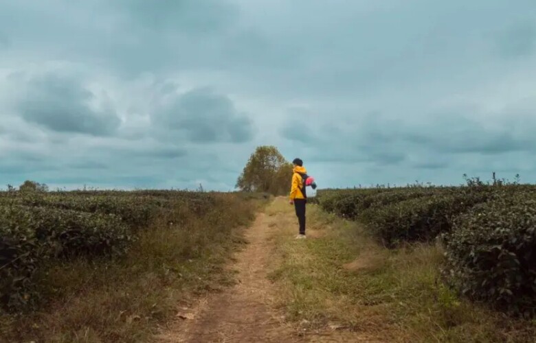 Hiểu biết càng nông cạn, người ta càng bướng bỉnh! - 3