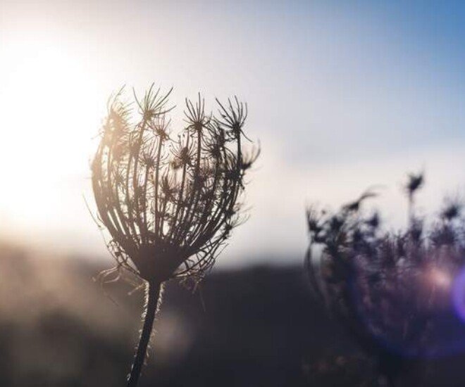 Khi cảm thấy tủi thân buồn bã, người khôn ngoan không nói với ai, kẻ dại lại giãi bày khắp thiên hạ - 1