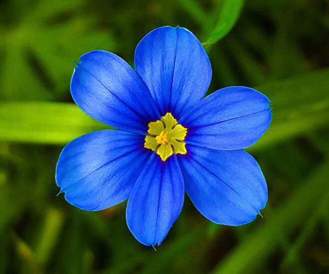 Ở đời, người khôn ngoan không bao giờ quên nhân quả - 1