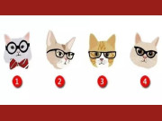Eva tám - Trắc nghiệm tâm lý: Bạn nghĩ con mèo nào thông minh nhất?