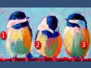 Eva tám - Trắc nghiệm tâm lý: Chọn một con chim theo cảm xúc của bạn