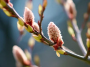 Eva tám - Một người tương lai có thịnh vượng hay không, nhìn vào 3 điều này là biết