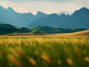 Eva tám - Người thực sự khôn ngoan thường im lặng