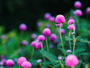 Eva tám - Càng thư thái, bạn càng thành công, đời càng hạnh phúc