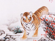 Eva tám - Tử vi tuần mới 18/11-24/11: Dần tiền tài viên mãn, Mùi biến động lớn