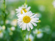 Eva tám - 4 điều người khôn ngoan nhất định làm trong tháng cuối cùng của năm 2024