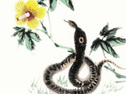 Eva tám - Tử vi tuần mới 2/12-8/12: Tỵ ví tiền phình to, Mão cẩn trọng họa từ miệng mà ra