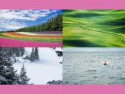 Eva tám - Trắc nghiệm tâm lý: Khung cảnh nào khiến bạn cảm thấy thư giãn và thoải mái nhất?