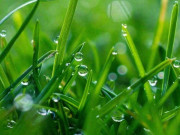 Eva tám - Quan hệ khăng khít đến mấy cũng phải nhớ 2 chữ này, đó mới là khôn ngoan