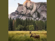 Eva tám - Trắc nghiệm tâm lý: Bạn đã nhìn thấy hình ảnh gì đầu tiên?