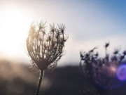 Eva tám - Khi cảm thấy tủi thân buồn bã, người khôn ngoan không nói với ai, kẻ dại lại giãi bày khắp thiên hạ