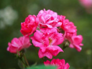 Eva tám - Bước qua tuổi 50, 3 điều này mới là cách sống khôn ngoan nhất