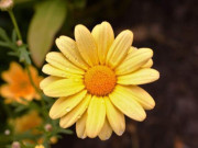 Eva tám - Trạng thái tốt nhất của cuộc sống là sự tĩnh lặng phong phú