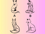Eva tám - Trắc nghiệm tâm lý: Chọn 1 con cáo theo trực giác