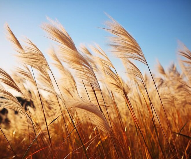 Người khôn ngoan biết cách sống hạnh phúc nhất trên đời là 2 chữ này - 1