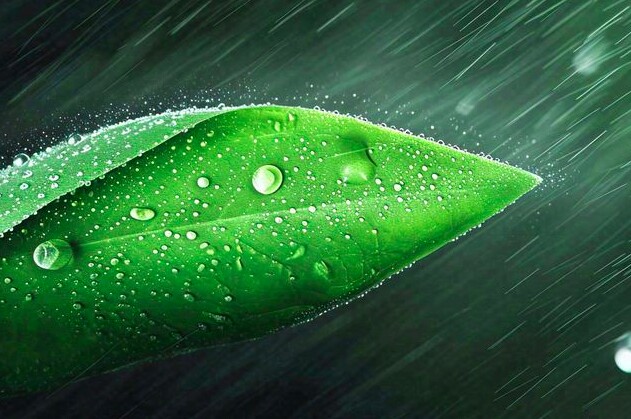 Người thực sự khôn ngoan không tranh giành 3 điều - 3