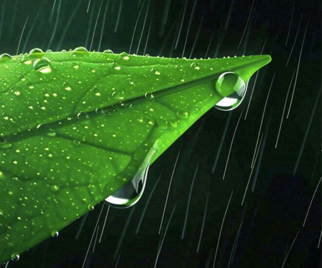 Người thực sự khôn ngoan không tranh giành 3 điều - 1