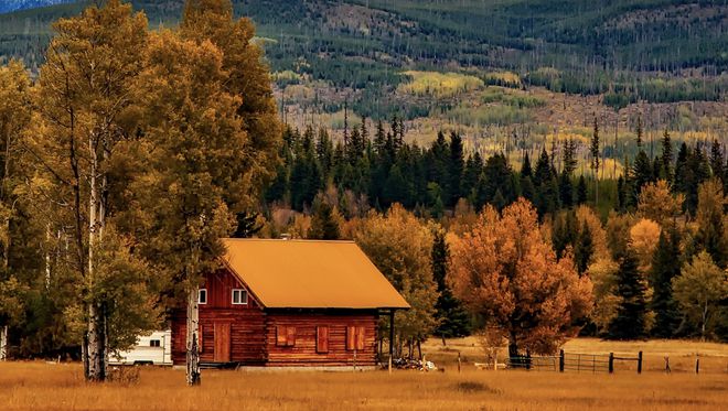 Trí tuệ quan trọng nhất của con người là 4 chữ này - 1