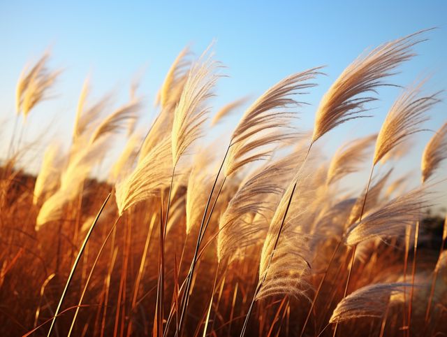 Người khôn ngoan biết cách sống hạnh phúc nhất trên đời là 2 chữ này - 2