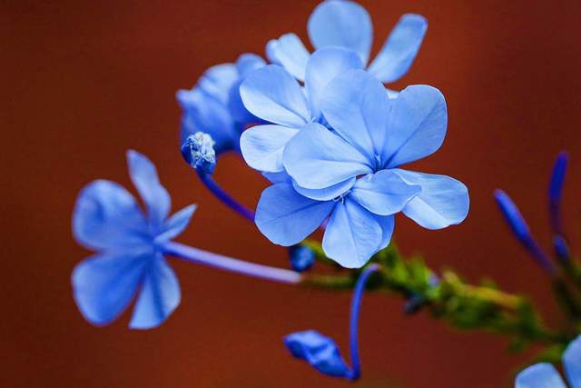 Ở đời, người khôn ngoan không bao giờ quên nhân quả - 2