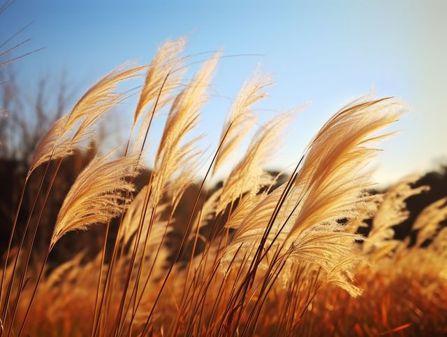 Người khôn ngoan biết cách sống hạnh phúc nhất trên đời là 2 chữ này - 3