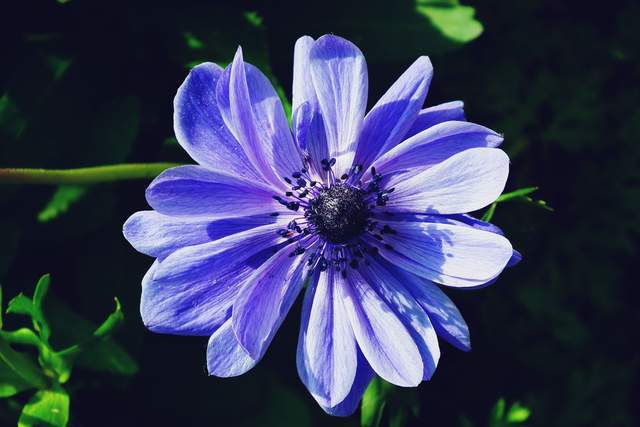 Ở đời, người khôn ngoan không bao giờ quên nhân quả - 4