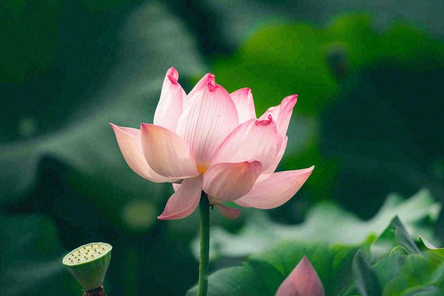 Người có trí tuệ cảm xúc thực sự cao mới làm được 4 chữ này - 3