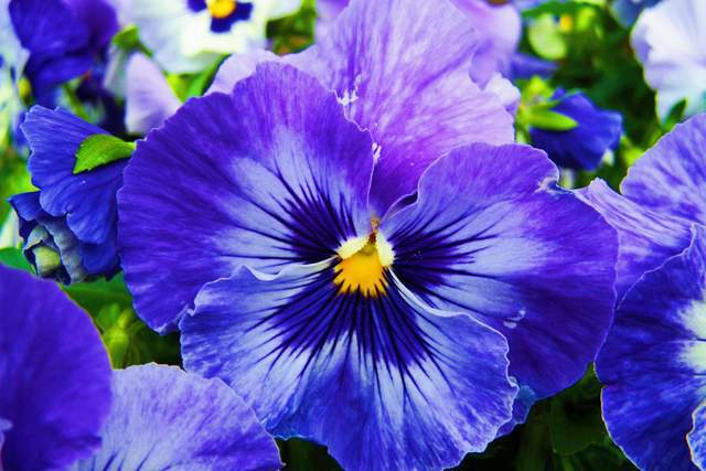 Ở đời, người khôn ngoan không bao giờ quên nhân quả - 3