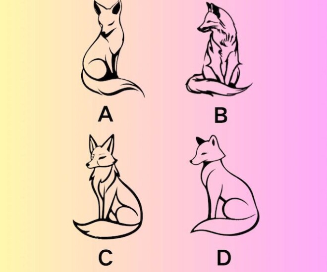 Trắc nghiệm tâm lý: Chọn 1 con cáo theo trực giác - 1