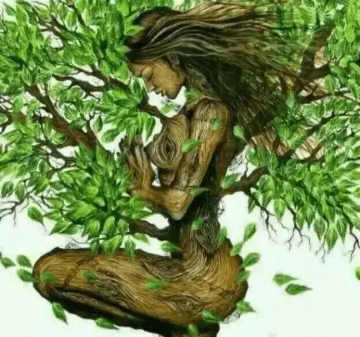 Trắc nghiệm tâm lý: Điều đầu tiên bạn nhìn thấy là gì? - 1