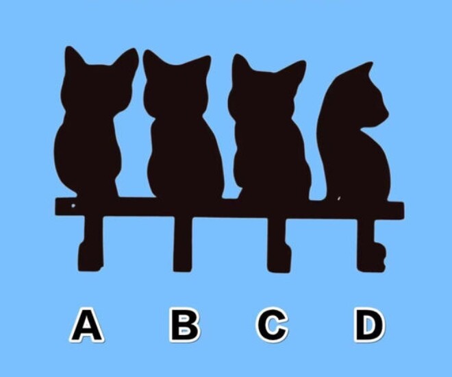 Trắc nghiệm tâm lý: Trực giác mách bảo bạn con mèo nào dễ thương nhất? - 1