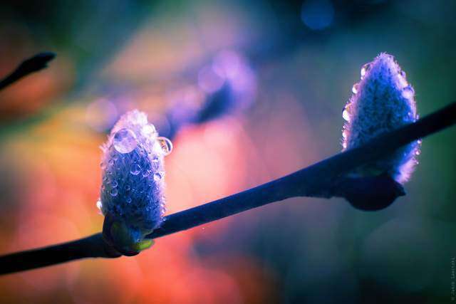 Trái tim bạn rộng bao nhiêu, cuộc sống bạn sẽ tốt đẹp, hạnh phúc bấy nhiêu - 2