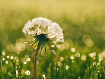 Sự khôn ngoan quan trọng nhất trong giao tiếp thực ra chỉ là 4 chữ