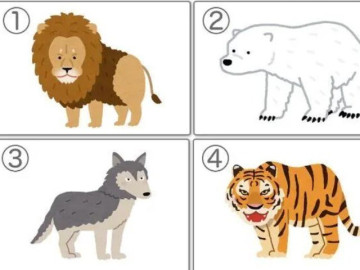 Trắc nghiệm tâm lý: Chọn một con vật theo trực giác của bạn