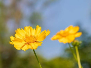 Người khôn ngoan làm giàu bản thân thay vì làm hài lòng người khác