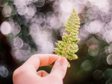 4 chữ này là liều thuốc chữa lành mọi thứ