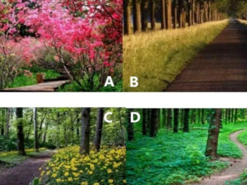 Trắc nghiệm tâm lý: Chọn một con đường theo trực giác của bạn