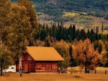 Trí tuệ quan trọng nhất của con người là 4 chữ này