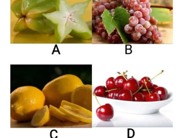 Trắc nghiệm tâm lý: Bạn nghĩ quả nào chua nhất?