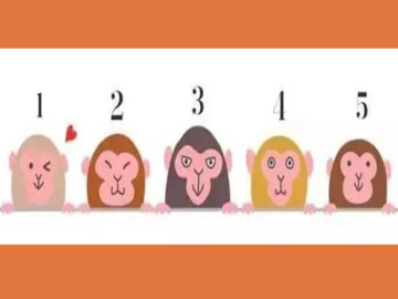 Trắc nghiệm tâm lý: Bạn thấy chú khỉ nào đáng yêu nhất?
