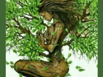 Trắc nghiệm tâm lý: Điều đầu tiên bạn nhìn thấy là gì?