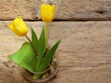 2 nên – 1 đừng là chìa khóa giúp người khôn ngoan mở ra cuộc sống dễ dàng