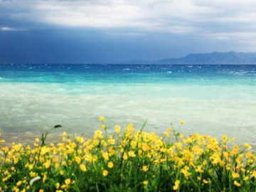 Cuộc đời này, bạn mong cầu điều gì?