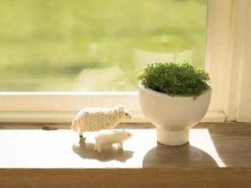 Giữ gìn 3 điều này là điều đáng đầu tư nhất trong 3 năm tới