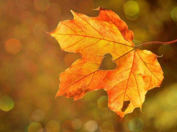 4 chữ này là trí tuệ tuyệt vời nhất của đời người