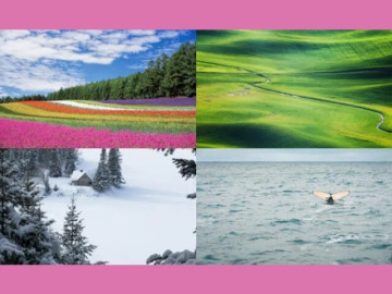 Trắc nghiệm tâm lý: Khung cảnh nào khiến bạn cảm thấy thư giãn và thoải mái nhất?