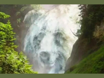 Trắc nghiệm tâm lý: Bạn nhìn thấy con vật gì đầu tiên?