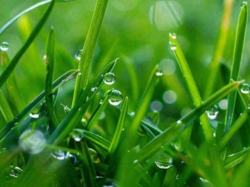 Quan hệ khăng khít đến mấy cũng phải nhớ 2 chữ này, đó mới là khôn ngoan