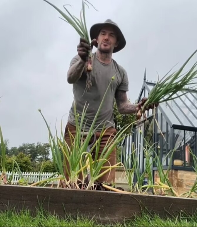 Những khoảnh khắc ấy cho thấy anh không ngại bẩn, không e dè với những công việc tưởng chừng như vất vả của nghề nông. Ngược lại, Beckham đón nhận chúng với niềm vui và sự say mê như thể đây là cách anh luyện tập cho tâm hồn, giống như cách anh từng luyện tập trên sân cỏ.